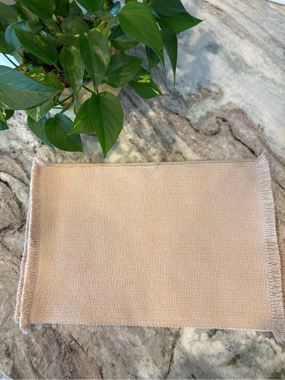 Source Unknown Beige Woven Placemat with Fringe